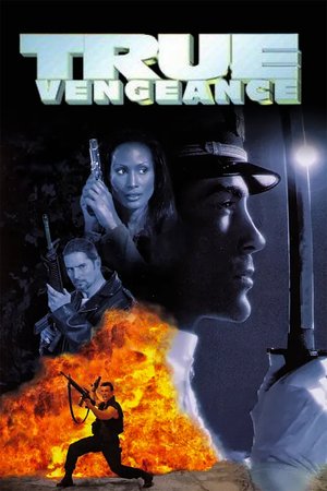 True Vengeance poster