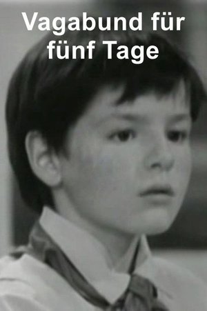 Vagabund für fünf Tage poster