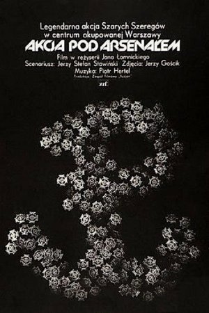 Operation Arsenal poster