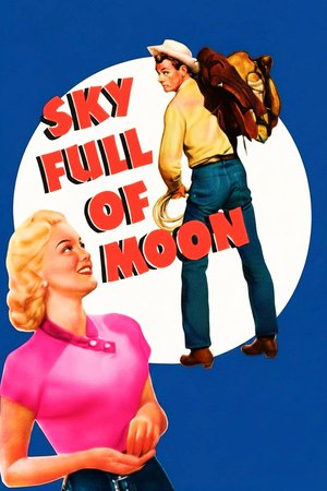 Sky Full of Moon poster