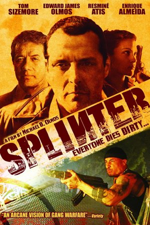 Splinter poster