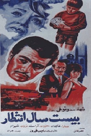 Twenty Years of Waiting poster