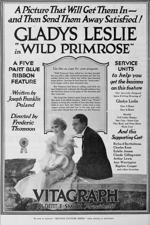 Wild Primrose poster