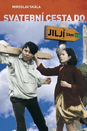 Bridal Tour to Jilji poster