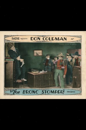The Bronc Stomper poster