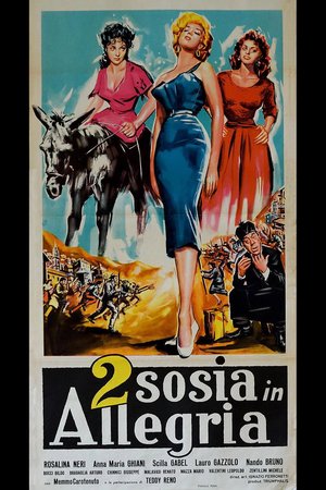 Due sosia in allegria poster