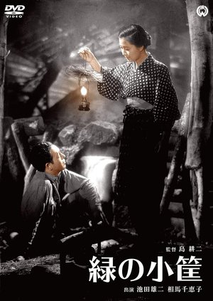 The Little Green Box poster