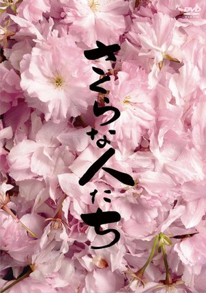 Looking for Cherry Blossoms poster