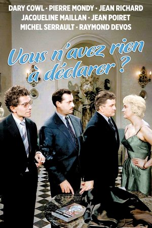You Have Nothing to Declare? poster