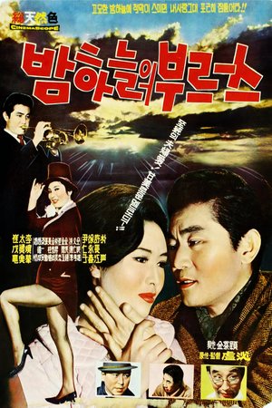 Night Blues poster