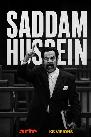 Saddam Hussein, histoire d'un procès annoncé poster