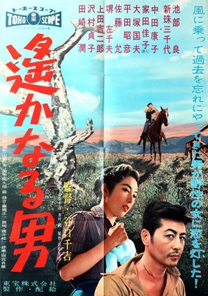Faraway Man poster