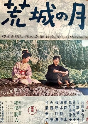 Moon Over the Abandoned Castle poster