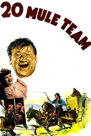 20 Mule Team poster