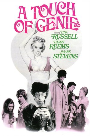 A Touch of Genie poster