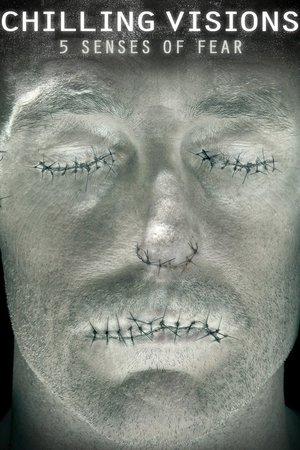 Chilling Visions: 5 Senses of Fear poster
