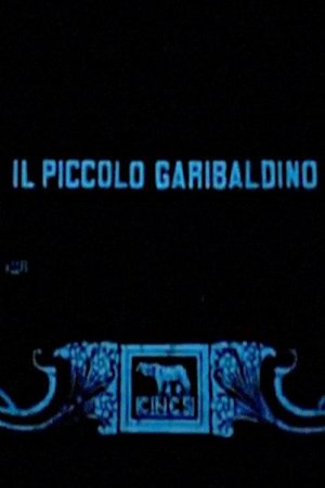 The Garibaldi Boy poster