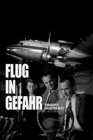 Flight in Danger poster