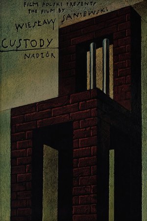 Custody poster