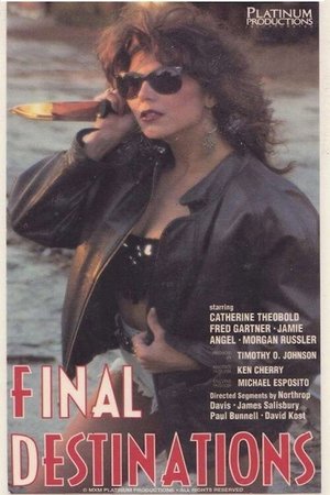Final Destinations poster