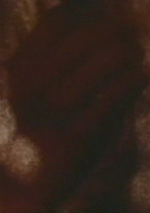 Song 5 poster