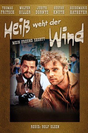 Legend of a Gunfighter poster
