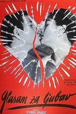 I Vote for Love poster
