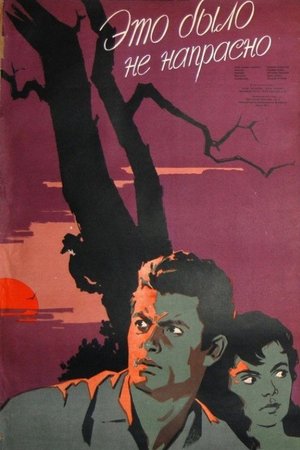 It Was Not In Vain poster