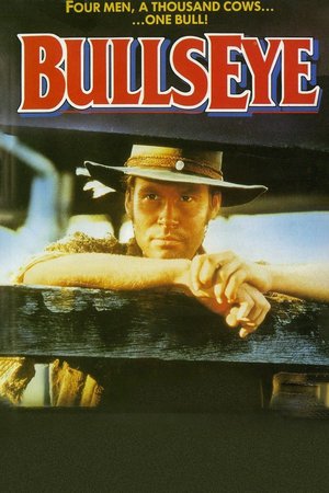 Bullseye poster