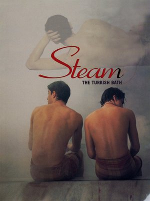 Steam: The Turkish Bath poster