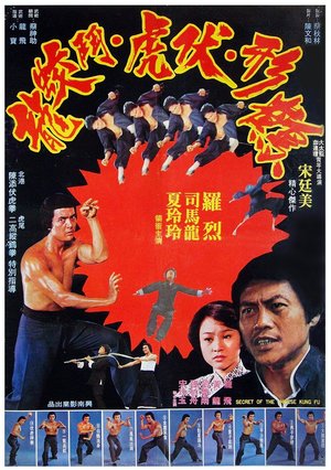 Secret of Chinese Kung Fu poster