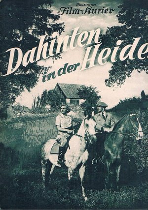 Back in the Country poster