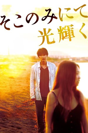 The Light Shines Only There poster