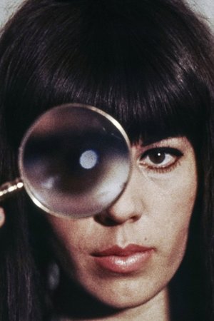 The Portrait poster