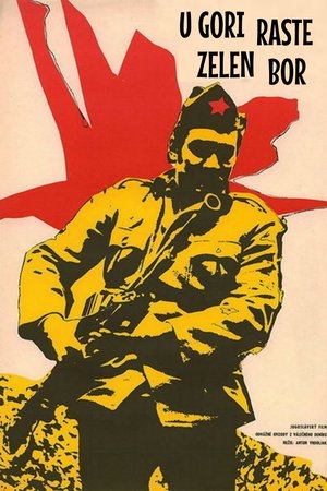 The Pine Tree in the Mountain poster
