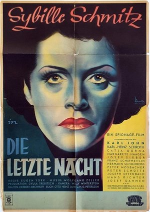 The Last Night poster