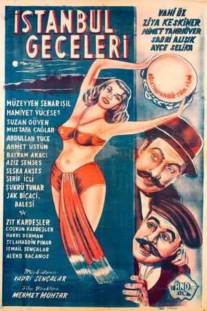 The Nights of Istanbul poster
