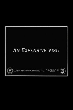 An Expensive Visit poster