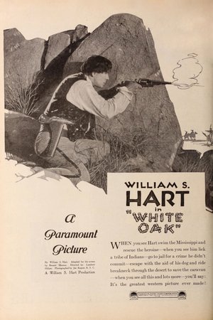 White Oak poster