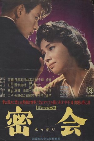 A Secret Rendezvous poster