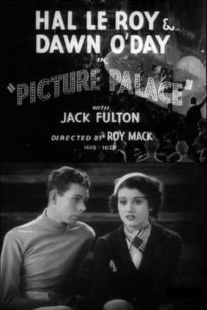 Picture Palace poster