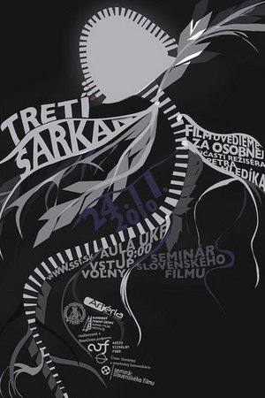 The Third Dragon poster
