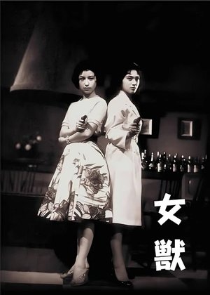Female Detective poster