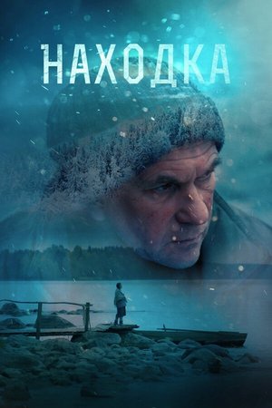 The Find poster