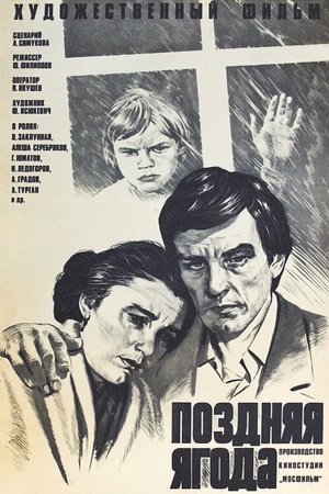 The Late Berry poster