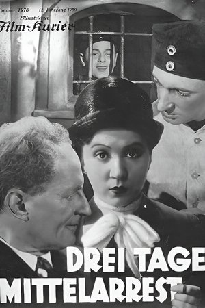 Three Days in the Guardhouse poster