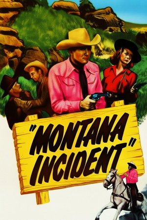 Montana Incident poster