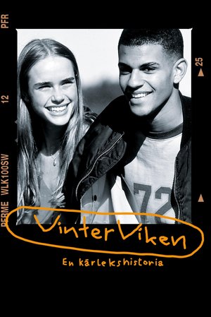 Winter Bay poster
