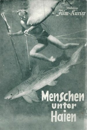 People Among Sharks poster