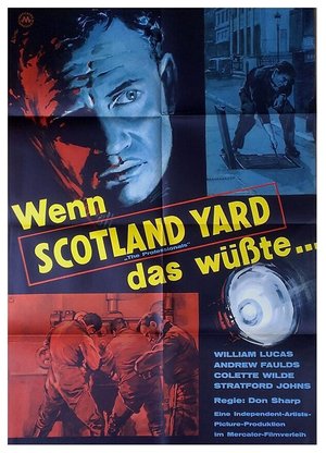 The Professionals poster